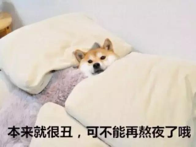 51eb7e4caab84272b3559974c7d69fcd.jpeg