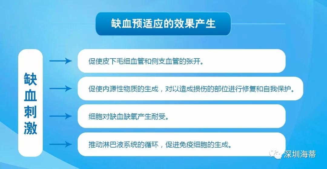缺血预适应训练仪-心脑血管疾病预防与辅助治疗的新方法