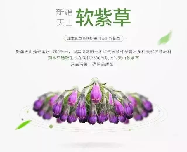                     吸取大家的驱蚊妙招，布丁带着全套秘籍闪亮登场！实用蚊帐走起~