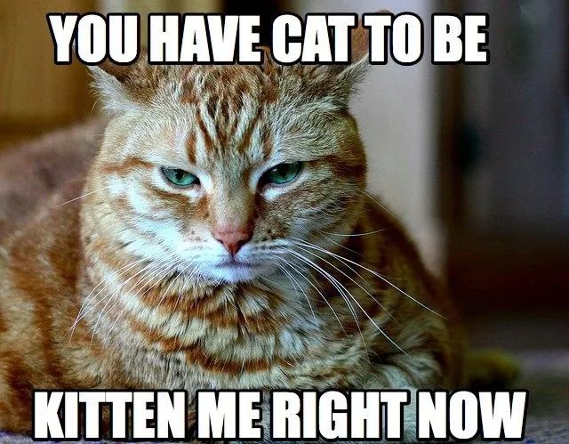 只有英语大神才能get到的笑点,你要试试吗?