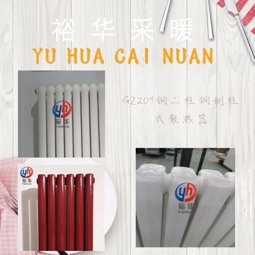 gz209钢二柱钢制柱式散热器(安装,图片,型号,参数)