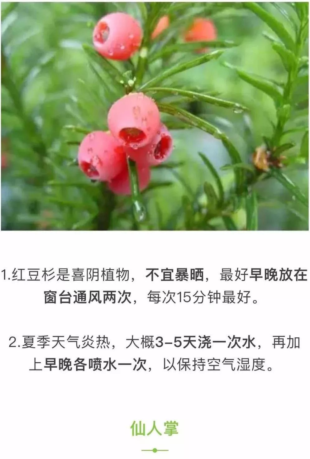 花卉招聘_花卉公司招聘(3)