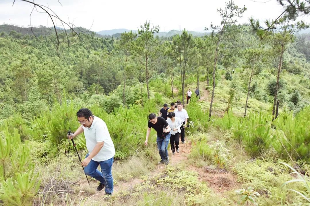 好消息定南要建飞机场了专家组已进行机场选址评审