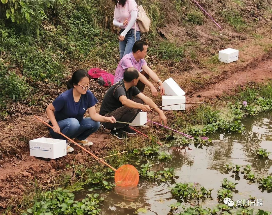 找回儿时的记忆,钓虾比赛让你回到童年