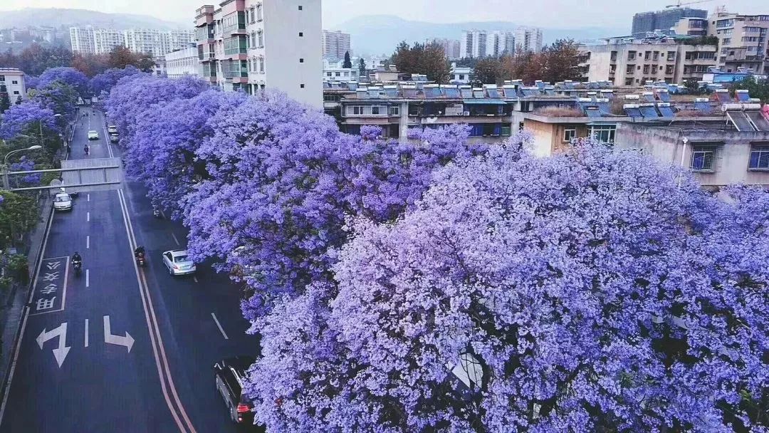 攀枝花跟西昌gdp_四川南部经济是攀枝花带动西昌发展,还是西昌带动攀枝花发展