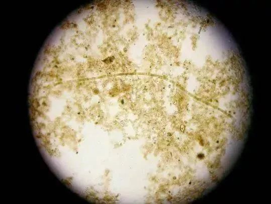                     宝宝的贴身衣物只清洗还不够，做到这一步才穿得安心