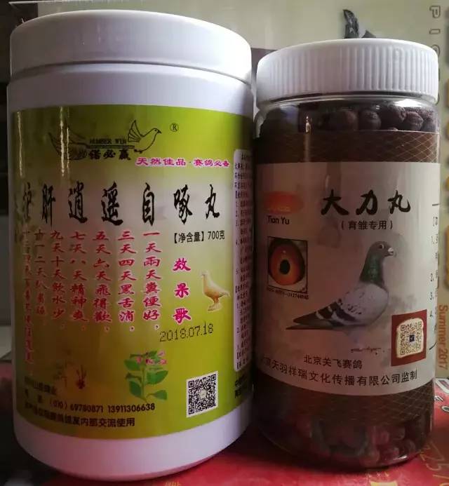 超值赠送!买自啄丸送幼鸽专用大力丸!