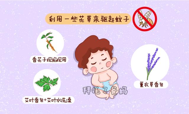                     夏天孩子易招蚊虫叮咬，安全有效3大小妙招，让孩子远离蚊虫侵扰