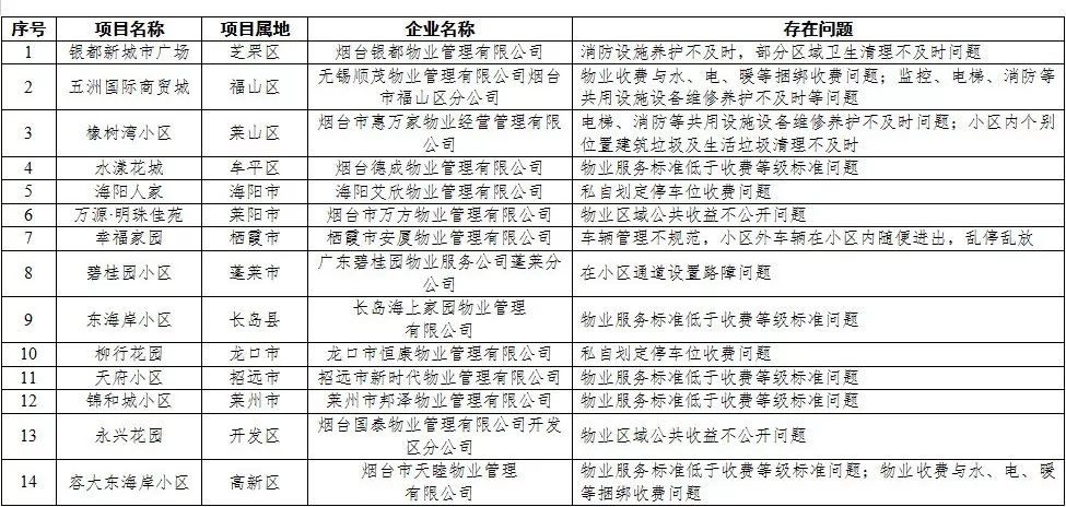 "利剑"行动督查物业管理问题清单