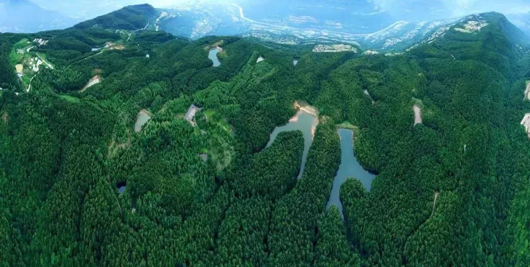 苍溪县九龙山是川北名山之一,位于长江上游,处在神奇的北纬31度线上