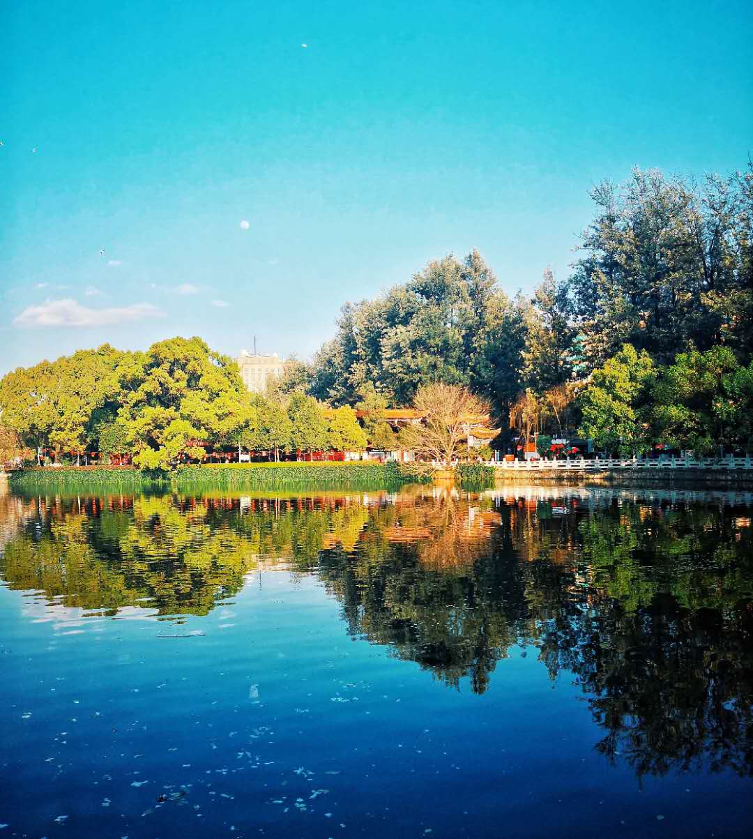 昆明翠湖云南大学