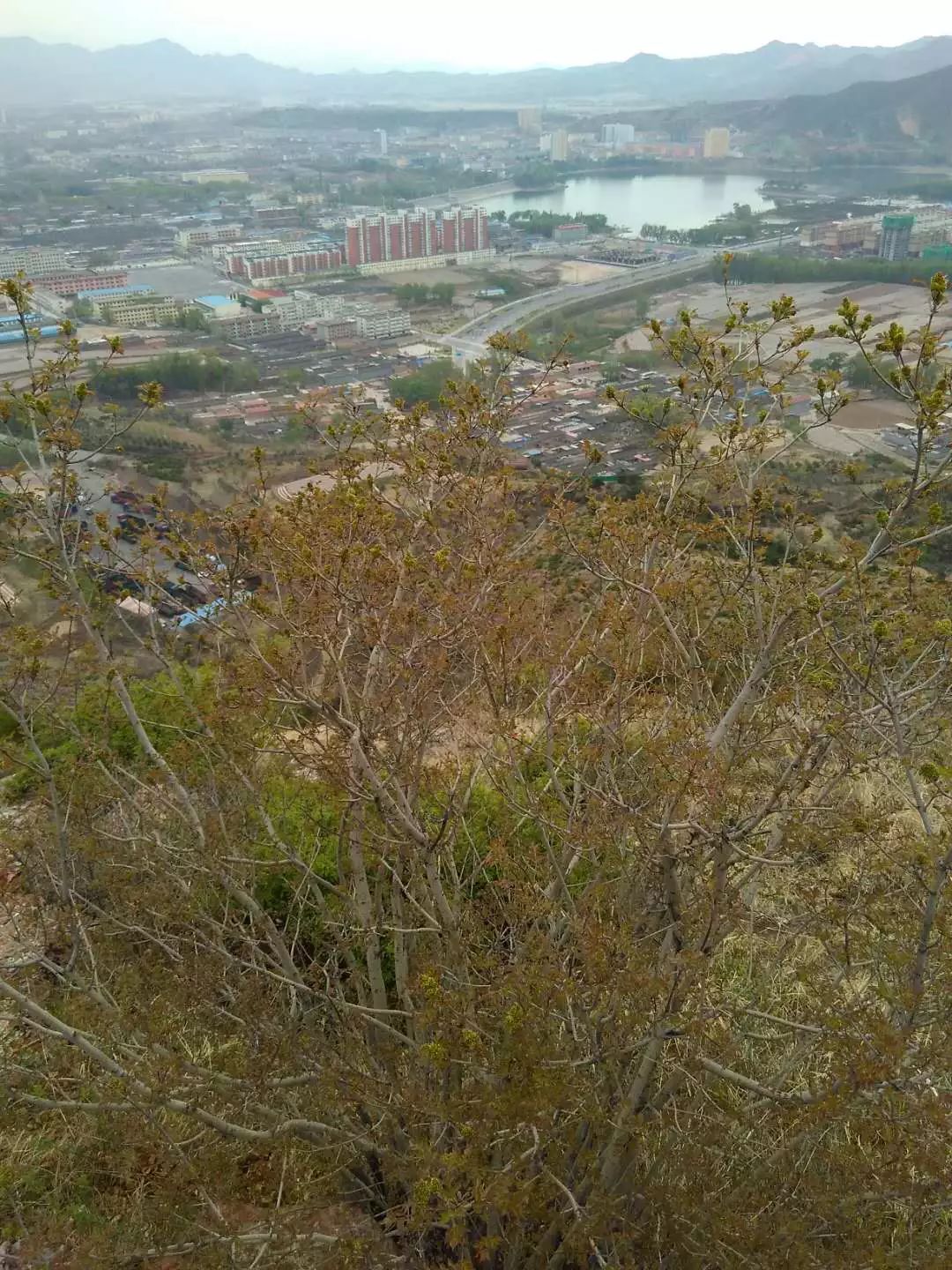 15:15 拍摄地点:地点五台县台城镇东龙泉大脑山 责任编辑