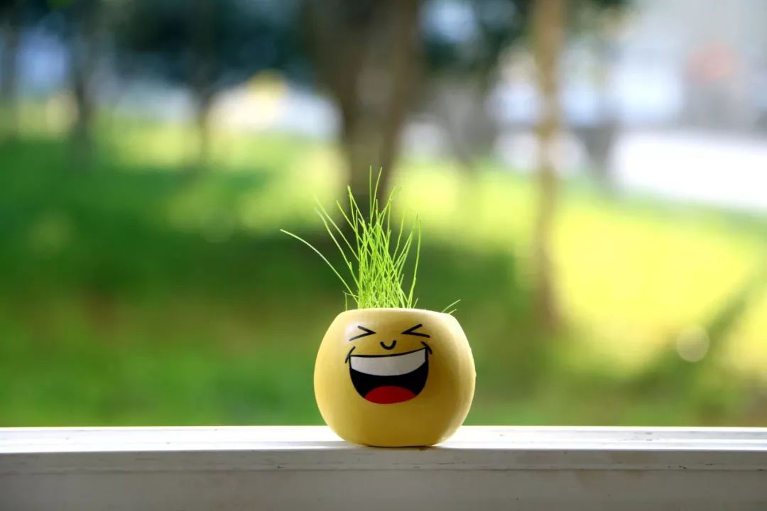 五个太阳三只眼睛猜成语_一个太阳的图片猜成语(3)