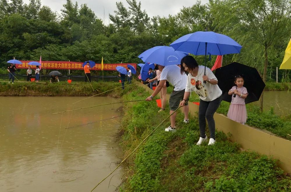 畅游大自然休闲钓龙虾丨直击大自然生态园第三届龙虾节盛况