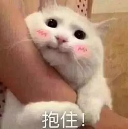 aedb32f8be624f8f9446d9707760920f.jpeg