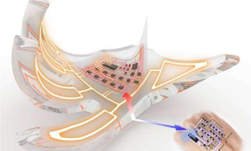 宁波材料所在柔性可穿戴电子皮肤方面取得系列进展