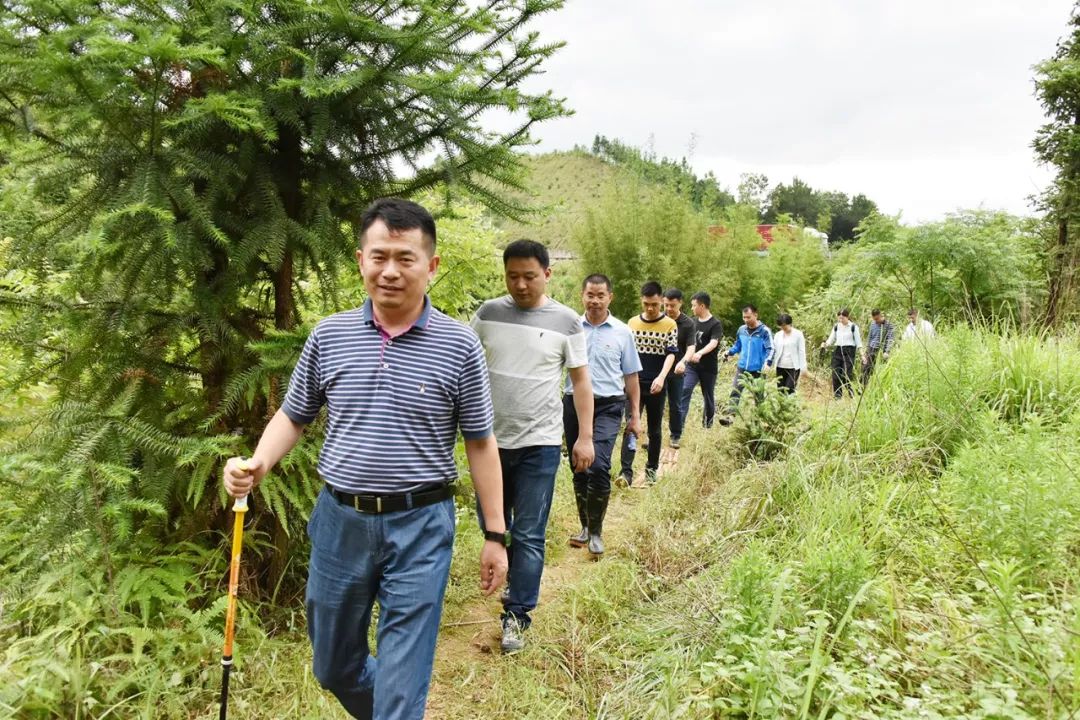 【好消息】定南要建飞机场了!专家组已进行机场选址评审