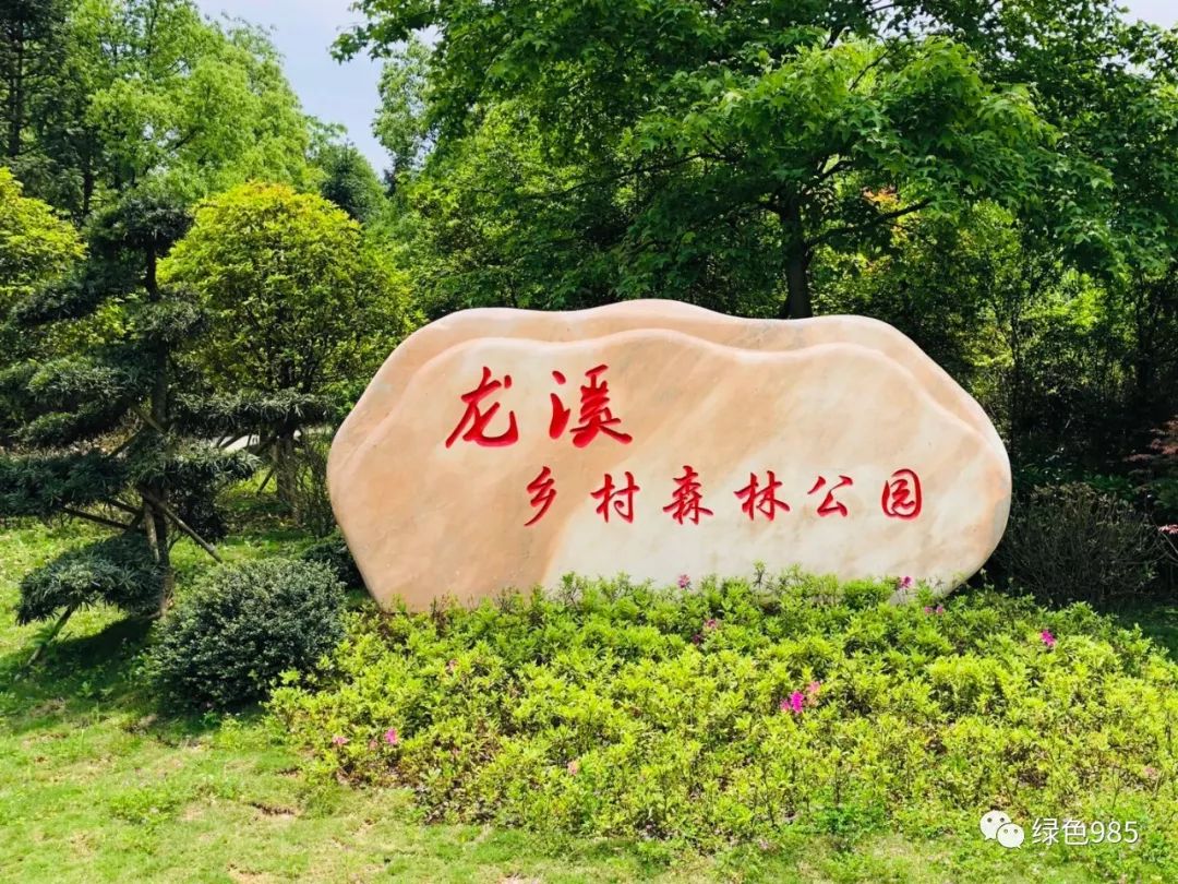 龙溪乡村森林公园坐落在萍乡市上栗县赤山镇新店村龙溪生态林场内.