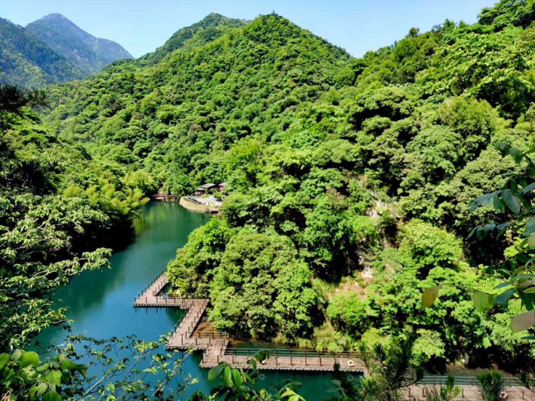 祁门县牯牛降景区以得天独厚的自然条件,成为人们休闲纳凉旅游的理想