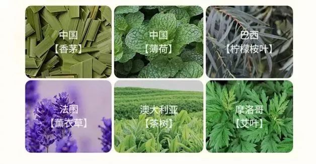                     吸取大家的驱蚊妙招，布丁带着全套秘籍闪亮登场！实用蚊帐走起~