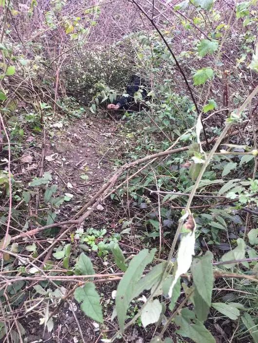 姚常凤在重庆梁平半山腰搭建的窝在他的山洞里,警察还发现了200多本