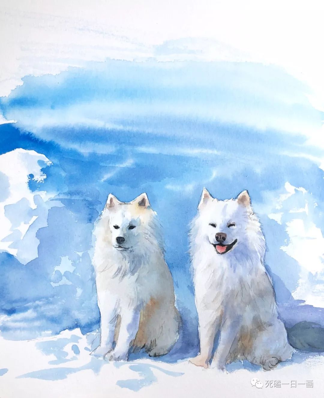 冰雪聪明萨摩耶