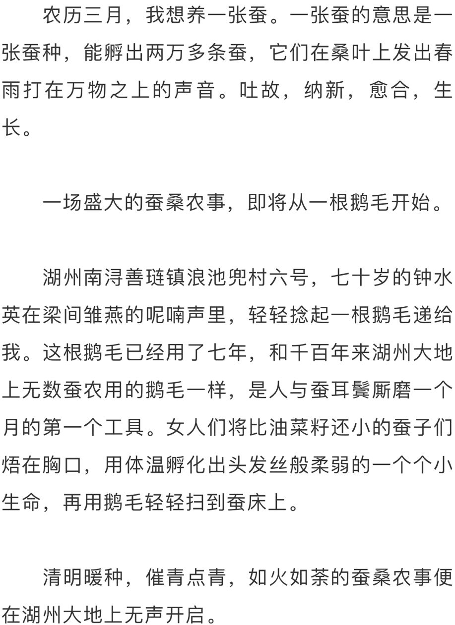 蚕的简谱_我为蚕儿添桑叶简谱(2)