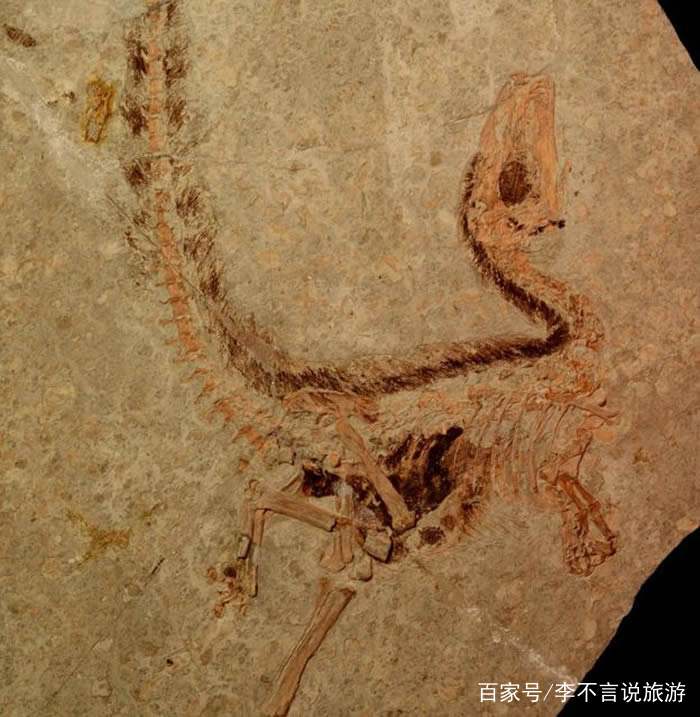 辽宁人口多吗_辽宁舰