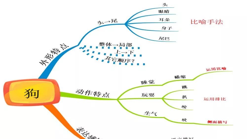 思维导图学语文,写作文:翠鸟