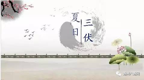 啥时候入三伏 0d63f16f69334829ba24ce44bca9bdeb.jpeg