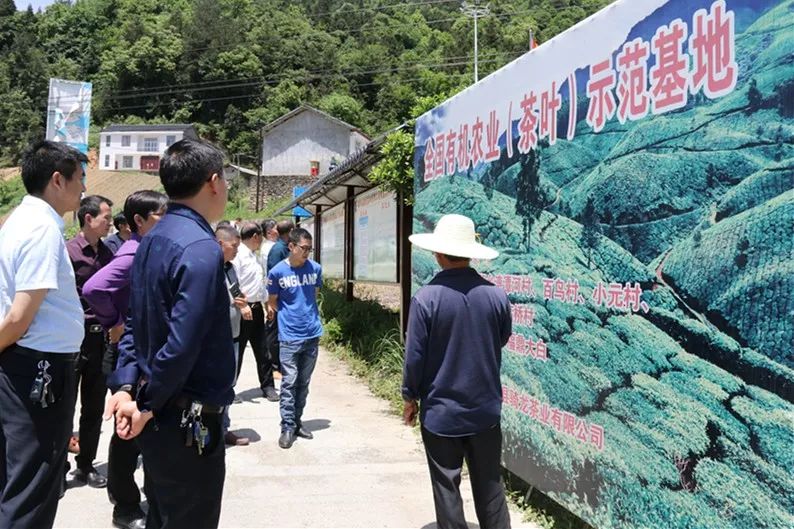 采花乡赴鹤峰县邬阳乡考察学习茶产业发展