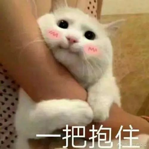 “退烧”效果显著!雨在 “憋大招”,还有更难忍的都在路上…… 赌博技巧网站