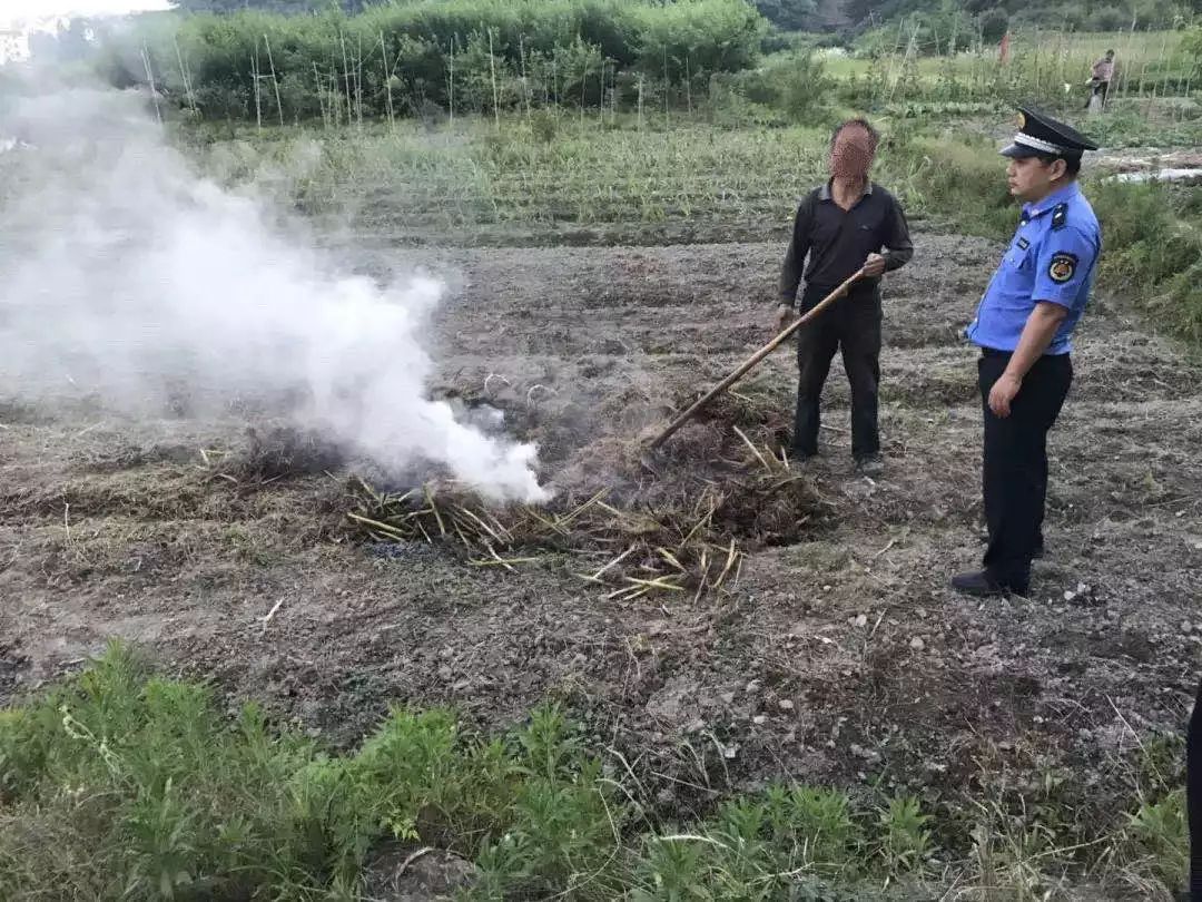 天仙村人口_天仙导航人口