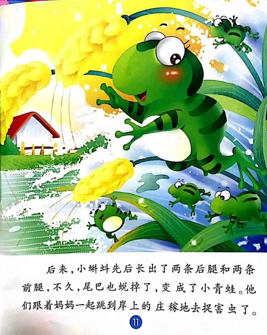 万博故事王小蝌蚪找妈妈
