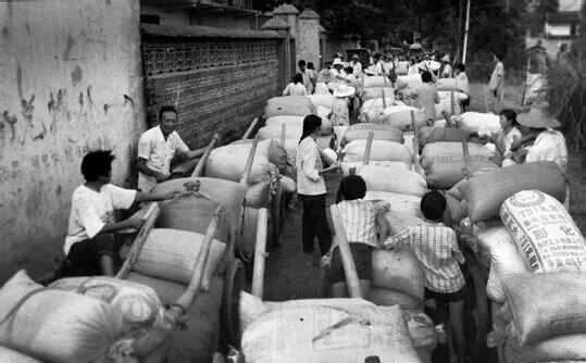 什么时候才不交公粮 475ac5a3cab44f49945b2b65fbdd0d45.jpeg