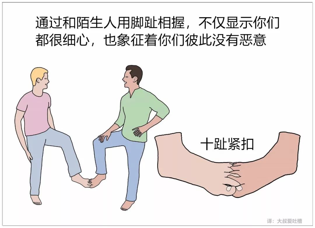 58486cd3cbc5447bac2029dfcb9f6719.jpeg