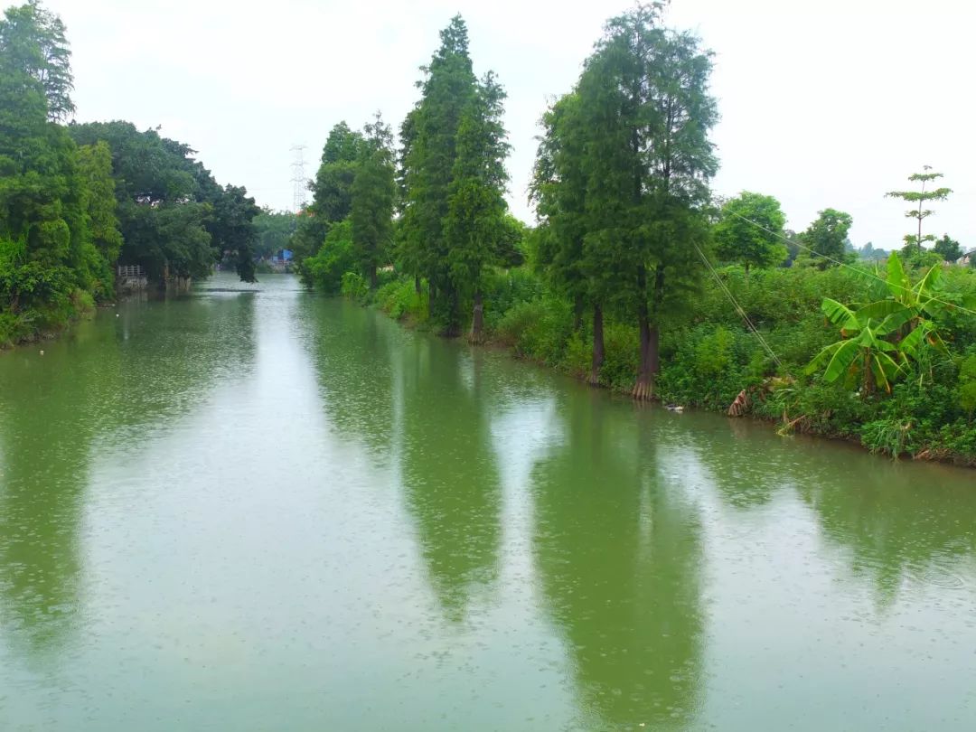 图说顺德勒流众涌村