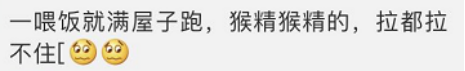                     追着喂饭跑断腿，2个“不要”就搞定！