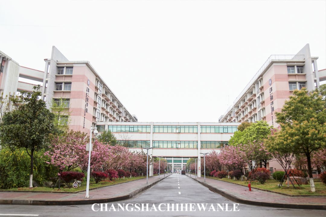 下一站:湖南中医药大学