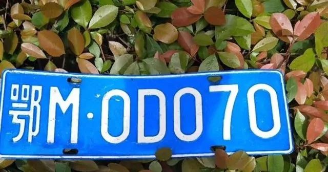 仙桃这些车牌在找主人!有你的吗?
