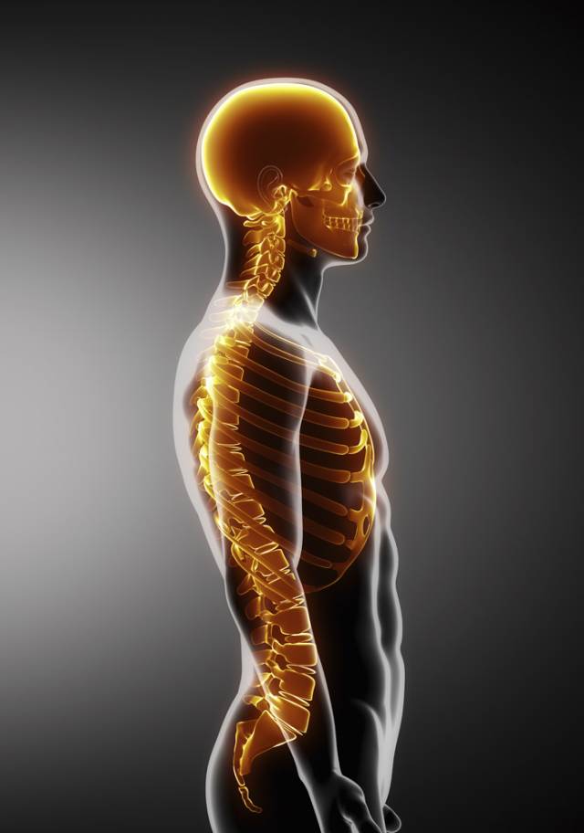 人体脊椎有七节颈椎,十二节胸椎,五节腰椎,一节骶椎及尾椎所连结构成