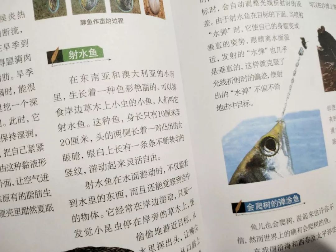 867474b8cdd745bb8bd14db53a8abb44.jpeg
