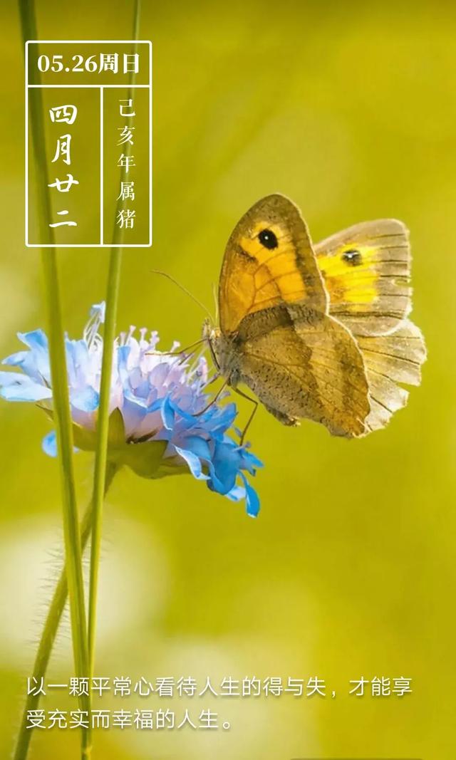 早上问候:一万个美丽的未来,抵不上一个温暖的现在