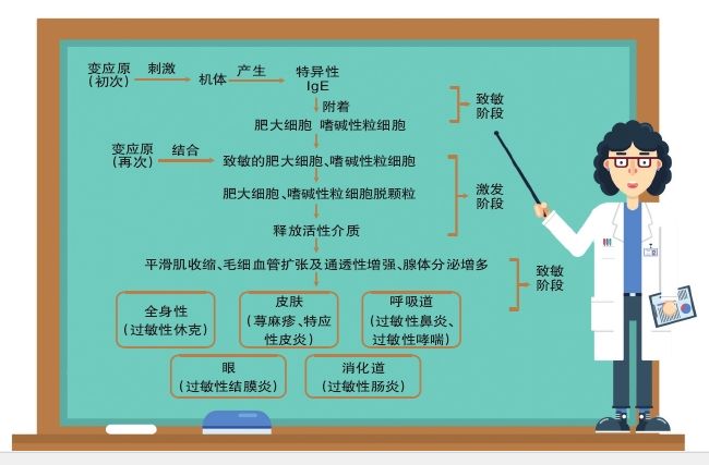 健康悦读 || 了解过敏反应的四种类型,对症治疗才有效