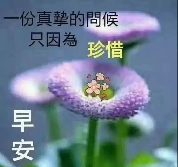 5月26日周日群发早上好问候祝福动态表情图片 最美好