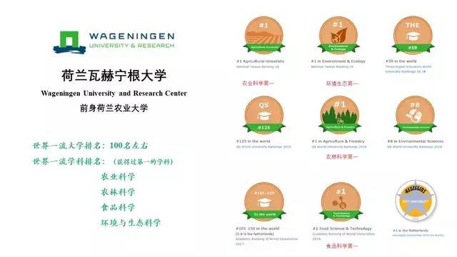 a0b1ba3a4df0403082f1a3f929545429.jpeg