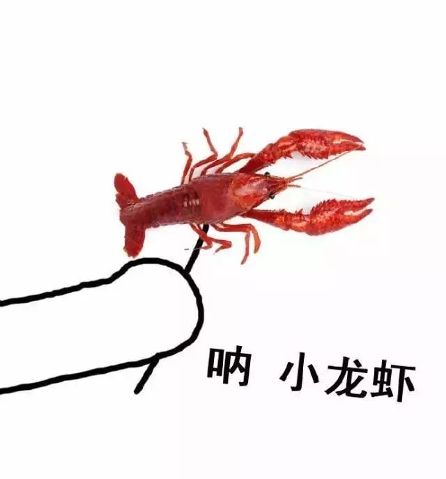 a2d77e2885874ad4b43662ee8b7d4339.jpeg