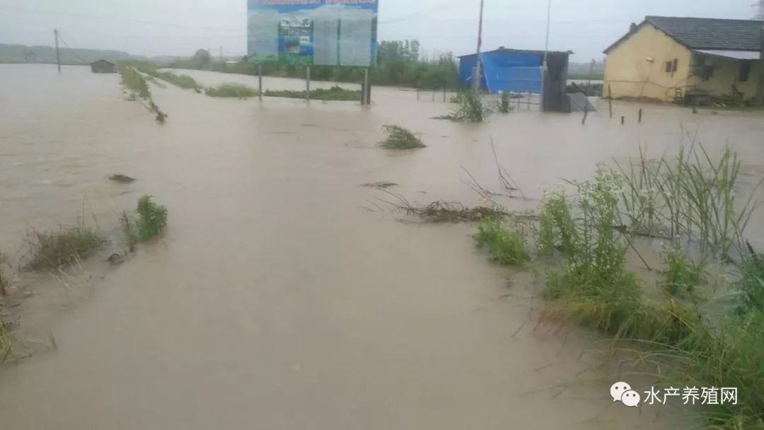 南方暴雨导致部分池塘受灾!长江沿线及