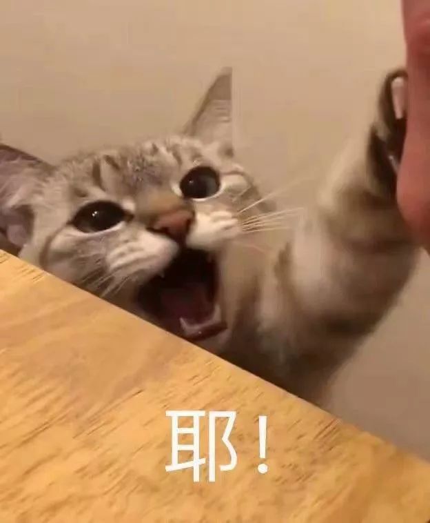 拯救不开心!看完心情变好