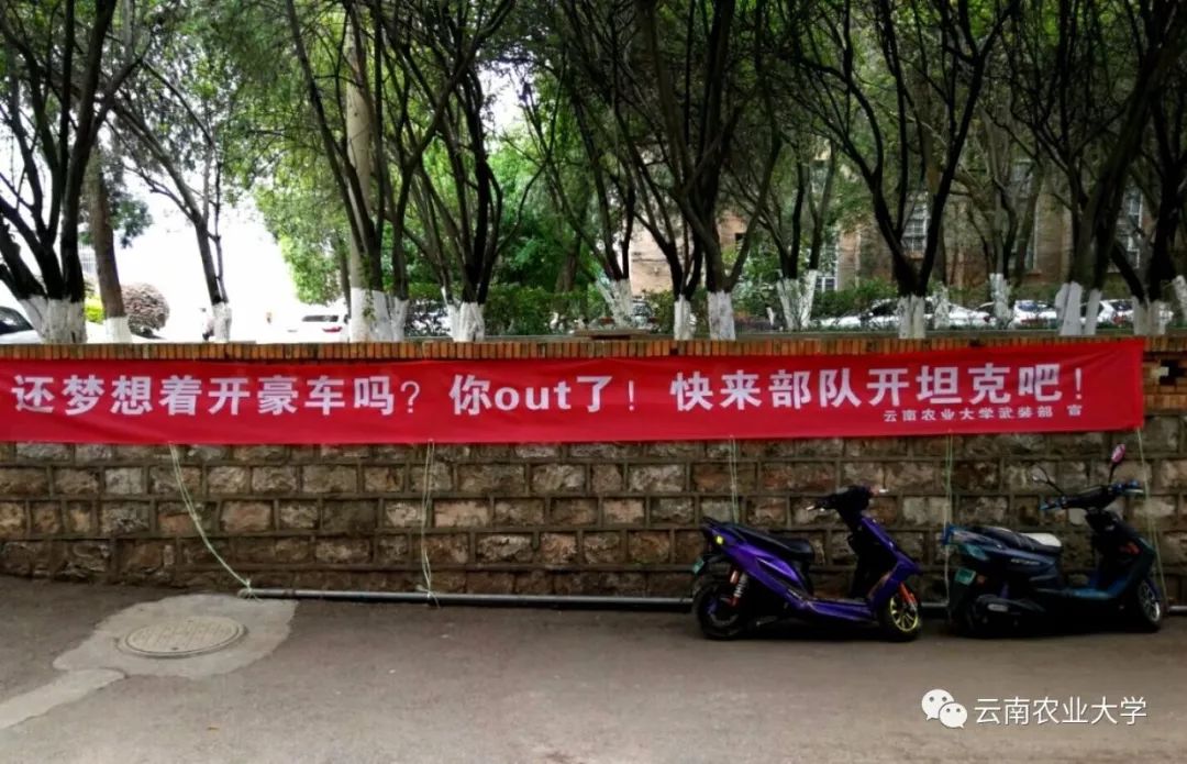 云南农业大学征兵宣传标语